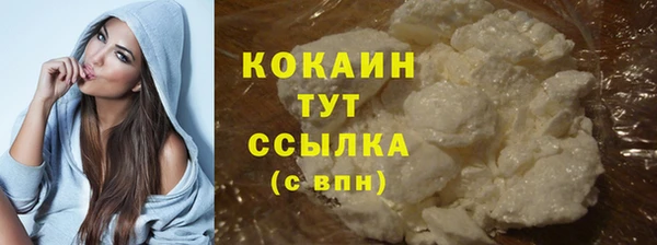 стафф Арсеньев