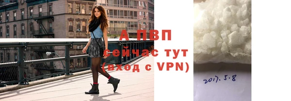 apvp Алзамай