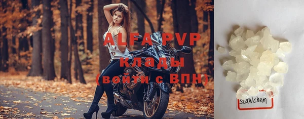 стафф Арсеньев