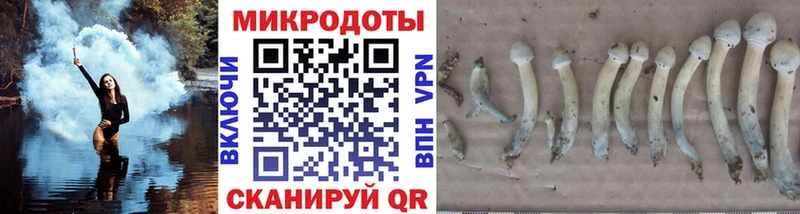 Купить  Ряжск  Псилоцибиновые грибы прущие грибы 